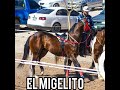 el miguelito