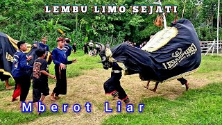 Full Berotan Liar || Banteng LEMBU LIMO SEJATI Live Gribig Gang Sate Madyopuro Kedungkandang