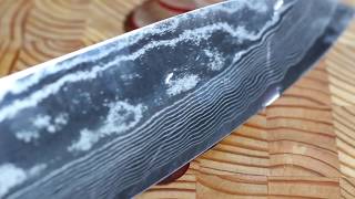 Ittetsu Sg2 210mm Damascus Gyuto vs Grape