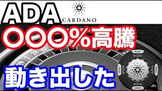 【事実】24時間で〇〇〇％高騰したエイダコイン　稼げる仮想通貨投資　ビットコイン