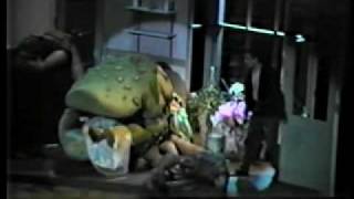 Little Shop of Horrors RHS 1989