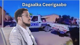 Dagaalka Ceerigaabo \u0026 Xaaladda Ka taagan