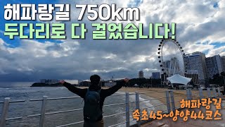 부산에서 고성까지 750km 걷기 완료! 【해파랑길 속초45~양양44코스】