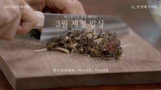 제철 재료로 만드는 건강한 집밥 ㅣ 향긋한 냉이 된장찌개, 청도 한재 미나리로 만든 미나리전, 미나리장 feat. 해창막걸리 12도 (Korean dining table)