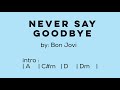 Never Say Goodbye (BonJovi) - Lyrics with Chords