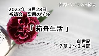 2023年 8月23日(水)赤塚教会祈祷会　聖書の学び「箱舟生活」創世記7章1～24節