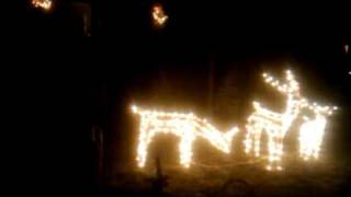 Our 2010 Christmas light display