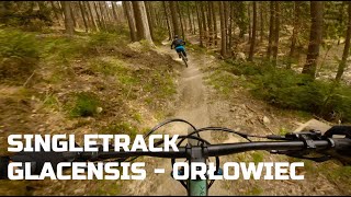 Singletrack Glacensis - Pętla Orłowiec