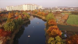 사람과 자연의 평화로운 공존, 장자호수공원