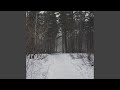Echoes