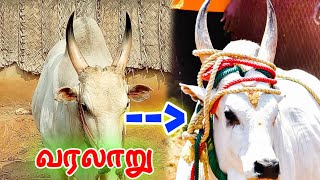 கரூர் வெள்ளை வரலாறு | Karur Vellai History