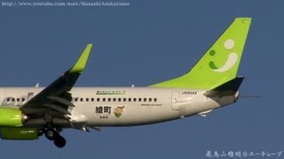 [綾ユネスコ・エコパーク号] Solaseed Air JA804X landing @ Haneda RWY34L [January 1, 2013]