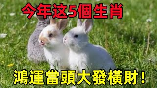 去年有5個生肖諸事不順，今年別擔心！2024年這5生肖運勢逆轉，鴻運當頭，大發橫財！躲都躲不掉！#民間俗語#中國文化#國學#國學智慧#佛學知識#人生感悟#人生哲理#佛教故事