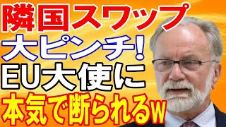 【海外の反応】ついにお隣さんがEUに8兆円の通貨スワップの申し入れ！恐るべき一言を突きつけられアジア全土が一瞬で凍りつく！！衝撃の真相とは?