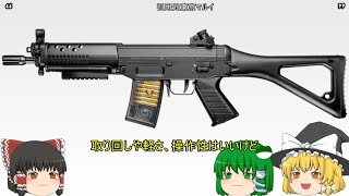 ＃16 【SIG552編】霊夢、マルイ製エアガンについて解説される