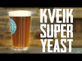 Weird Beer: Kveik Pomegranate Sour Homebrew