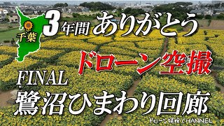 【千葉県】～鷺沼ひまわり回廊2023 FINAL～地元の方に愛された巨大迷路【ドローン探検CHANNEL】空撮,巨大迷路,絶景