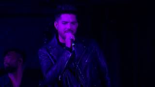 Adam Lambert performs at GLAAD's Spirit Day Concert