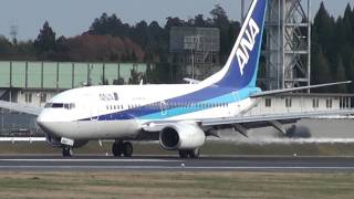 ANA Boeing 737-700 JA16AN Landing at NRT 34R