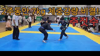 2주동안 7kg  체중감량 비결! & 주짓수 대회