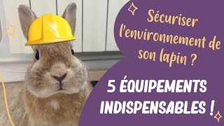 Comment sécuriser l’environnement de son lapin ? 5 équipements indispensables !