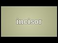 Incisor Meaning