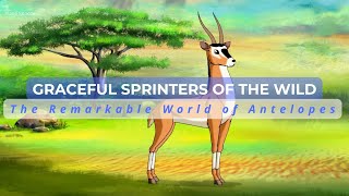 Graceful Sprinters of the Wild - The Remarkable World of Antelopes