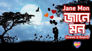 জানে মন  | 💝 | (Slowed & Reverb)  Jane Mon | Bangla Love Lofi Song | #rsmusic82
