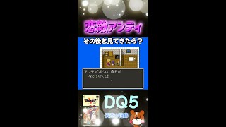 【SFC版DQ5】Part210 - 結婚後のサラボナの変化！？アンディの様子は！？スーパーファミコン版ドラクエ5#ドラクエ5 #ドラクエ #Shorts