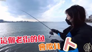 【釣魚日記】流浪到老街釣遊攻略.......流溝找的到 漁獲別煩惱....黑格弟弟你在哪？.....クロダイ black seabream fishing｜采蓁 Patti