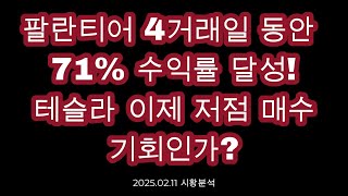 팔란티어 71% 수익률 달성!, 테슬라 이제 저점 매수 기회인가?