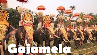 Gajamela at Thiruvanvandoor Temple | Kerala Festivals