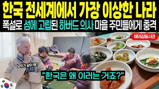 [해외감동사연] 폭설로 한국 외딴 섬에 고립된 하버드 의사가 마을 사람들의 행동에 충격받은 이유