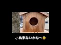 atelier dai制作　庭のハナミズキの木に巣箱🦜🕊🦅🦆🦉🐥　来ないかな〜😆