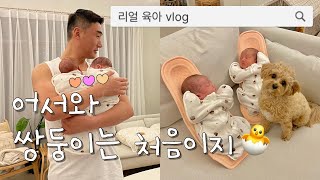 Twin babies and puppies, Such a lovely family in Korea❤️