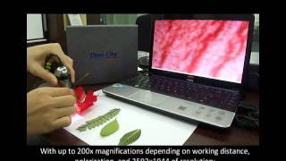 A 5 Megapixel Dino-Lite Digital Microscope