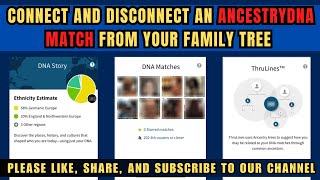 How to Connect and Disconnect an AncestryDNA Match from Your Family Tree | Family Tree Support #ftm