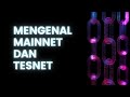 MENGENAL MAINNET DAN TESNET