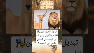 تبديل العيون بين الأسد vs والغزال   #foryou #معلومات_عامة 💡