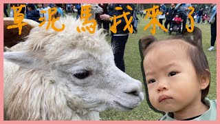 草泥馬不要吐我口水喔｜新竹綠世界生態農場｜親子玩樂EP05｜記得開cc字幕｜米包當媽日記