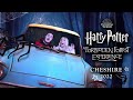 HARRY POTTER   A FORBIDDEN FOREST EXPERIENCE CHESHIRE NOVEMBER 2022 VLOG