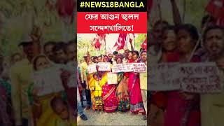 Sandeshkhali তে ফের জ্বলল আগুন! টায়ার জ্বালিয়ে বিক্ষোভে CPIM #shorts