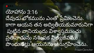 దేవుడు లోకమును ఎంతో ప్రేమించెను. కాగా ఆయన తన అద్వితీయకుమారునిగా పుట్టిన వానియందు విశ్వాసముంచు..