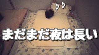 【生後7ヶ月7日】赤ちゃん就寝までの過ごし方【なかなか寝ない】【女の子】