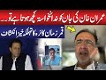 Imran Khan's life in Danger?? | Qamar Zaman Kaira Shocking Statement | Public News