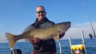 Lake Erie Fall Walleye Fishing with Active Target