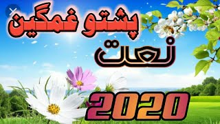 Pashto Naat 2020 || Pashto New Naat 2019|| Pashto Naat Shareef