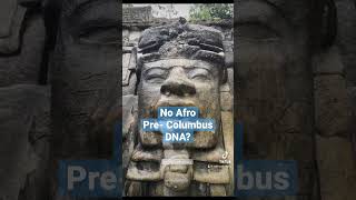 No African pre-Columbus DNA? 🤯🤯 #history #mesoamerica #mexico #african