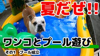 夏だぜ!!ワンコとプール遊び　その1プール組立 It's summer !! Playing with dogs and pool Part 1 Pool assembly