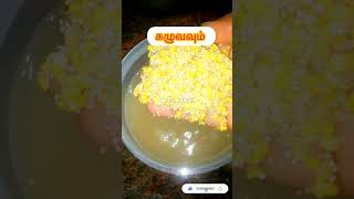 🐴 குதிரை வாலி அரிசி வெண்பொங்கல் செய்வது எப்படி? Barnyard millet rice venpongal #shorts #trending